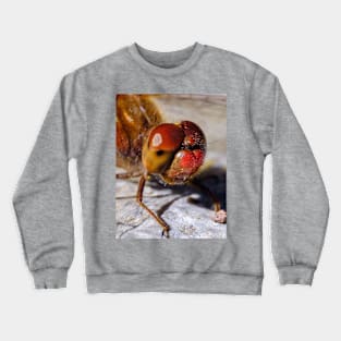 Red Dragonfly Macro Photograph Crewneck Sweatshirt